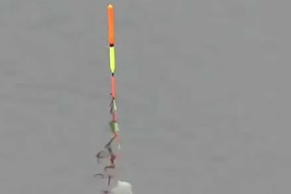 钓鱼怎么看漂相，鲫鱼的典型漂相是抬漂和顿口