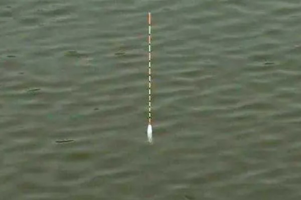 钓鱼怎么看漂相，鲫鱼的典型漂相是抬漂和顿口