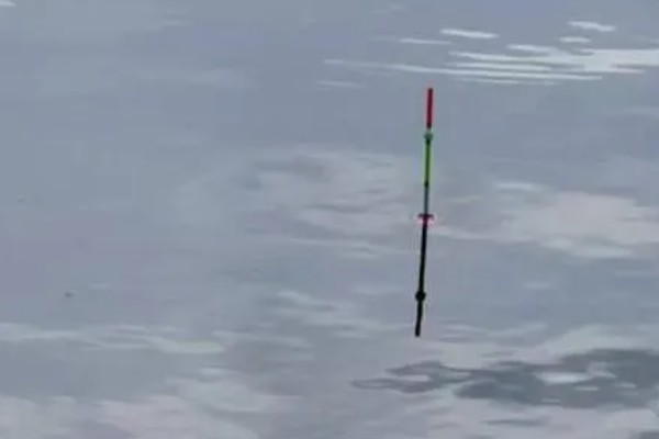 钓鱼怎么看漂相，鲫鱼的典型漂相是抬漂和顿口