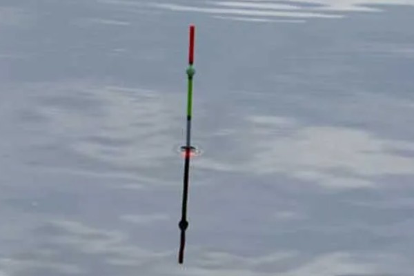 钓鱼怎么看漂相，鲫鱼的典型漂相是抬漂和顿口