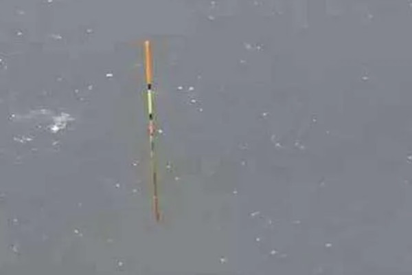 钓鱼怎么看漂相，鲫鱼的典型漂相是抬漂和顿口