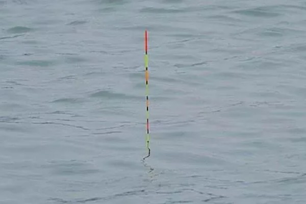 钓鱼怎么看漂相，鲫鱼的典型漂相是抬漂和顿口