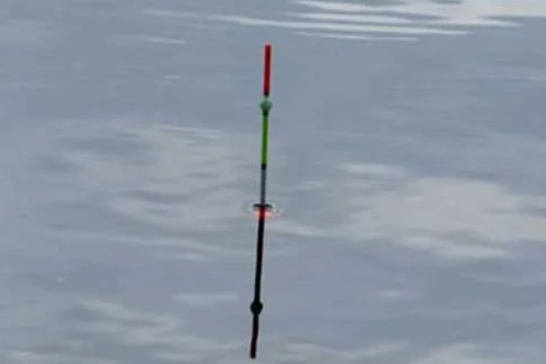 钓鱼怎么看漂相，鲫鱼的典型漂相是抬漂和顿口