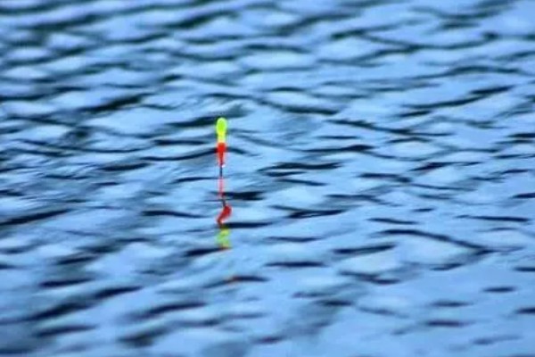 钓鱼怎么看漂相，鲫鱼的典型漂相是抬漂和顿口