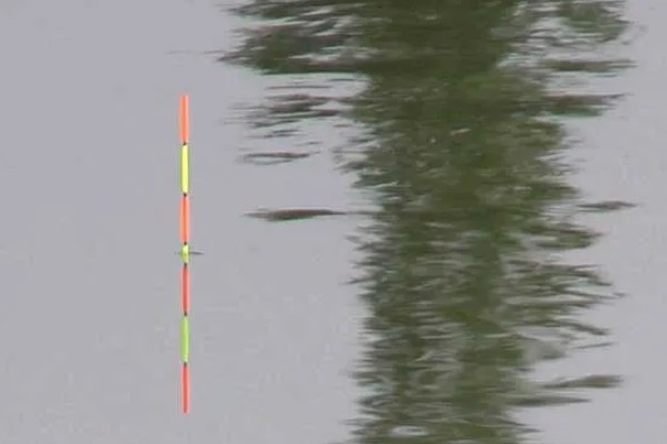 钓鱼怎么看漂相，鲫鱼的典型漂相是抬漂和顿口