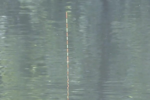 钓鱼怎么看漂相，鲫鱼的典型漂相是抬漂和顿口