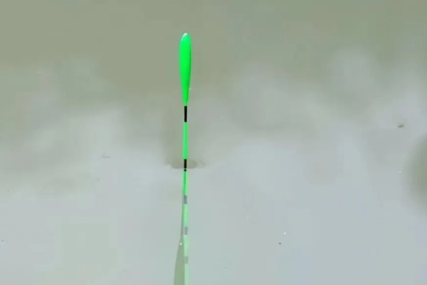 钓鱼怎么看漂相，鲫鱼的典型漂相是抬漂和顿口