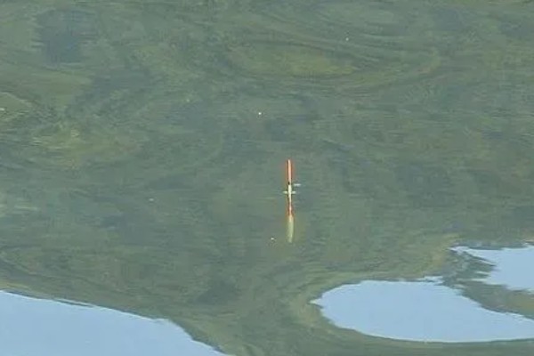 钓鱼怎么看漂相，鲫鱼的典型漂相是抬漂和顿口