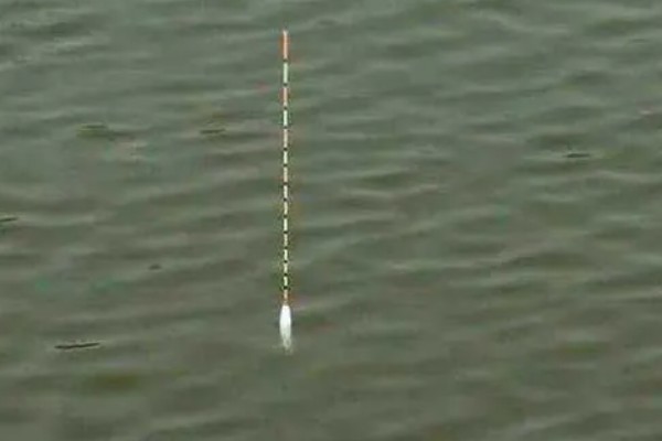 钓鱼怎么看漂相，鲫鱼的典型漂相是抬漂和顿口