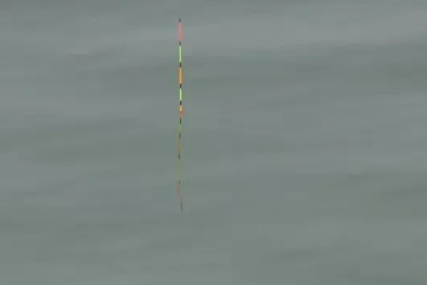 钓鱼怎么看漂相，鲫鱼的典型漂相是抬漂和顿口