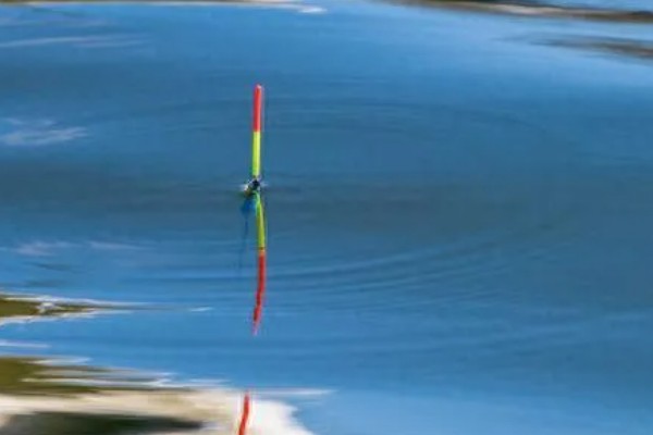 钓鱼怎么看漂相，鲫鱼的典型漂相是抬漂和顿口