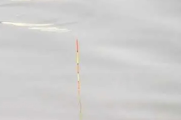 钓鱼怎么看漂相，鲫鱼的典型漂相是抬漂和顿口