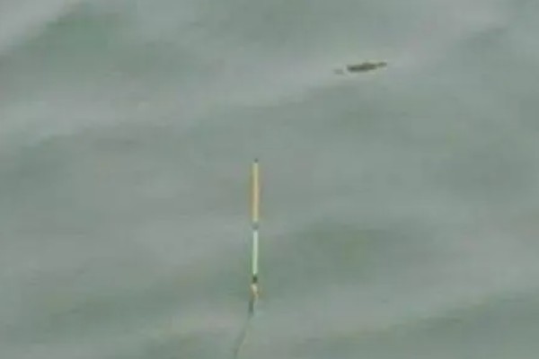 钓鱼怎么看漂相，鲫鱼的典型漂相是抬漂和顿口