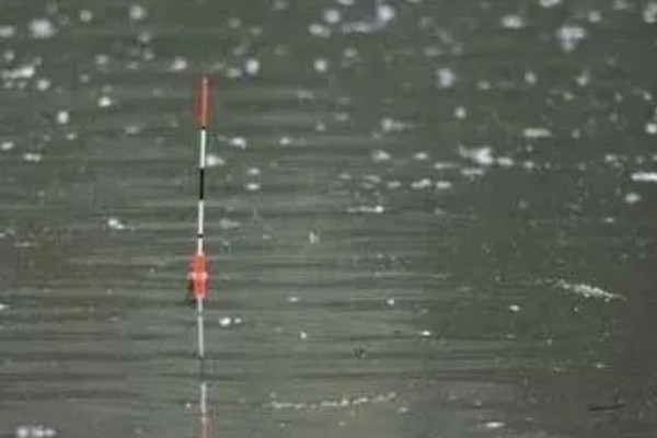 钓鱼怎么看漂相，鲫鱼的典型漂相是抬漂和顿口