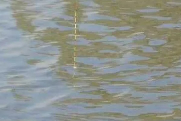 钓鱼怎么看漂相，鲫鱼的典型漂相是抬漂和顿口