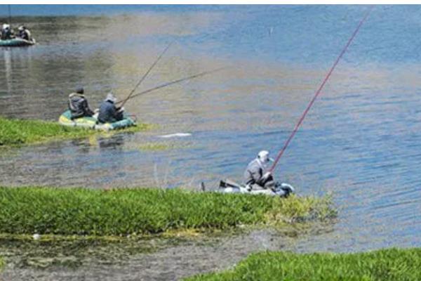 早春钓鱼的适宜气压和温度,最佳气温是15℃以上