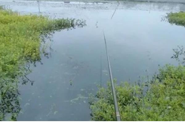 早春钓鱼的适宜气压和温度,最佳气温是15℃以上