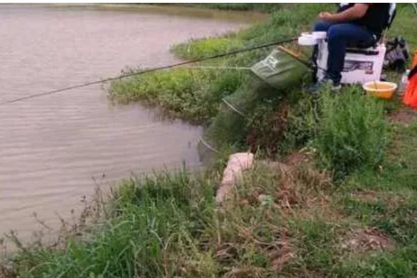 早春钓鱼的适宜气压和温度,最佳气温是15℃以上