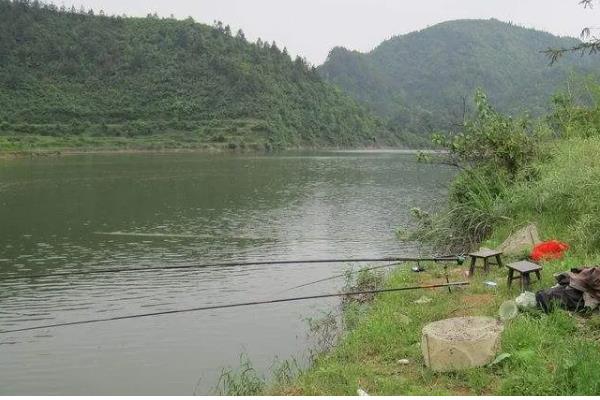 早春钓鱼的适宜气压和温度,最佳气温是15℃以上