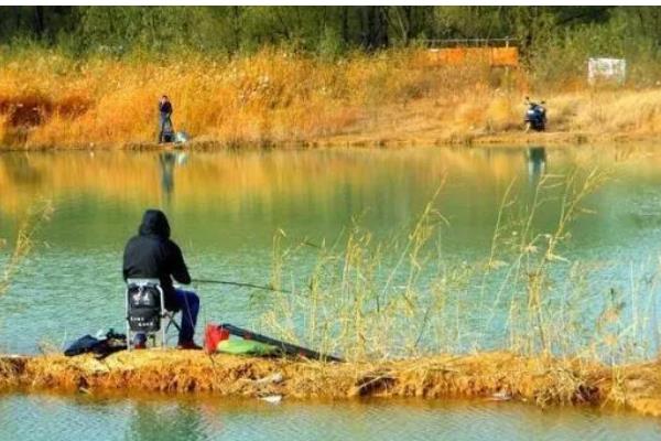 早春钓鱼的适宜气压和温度,最佳气温是15℃以上