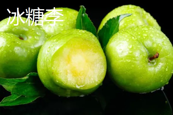 李子是凉性还是热性水果,李子是温性水果
