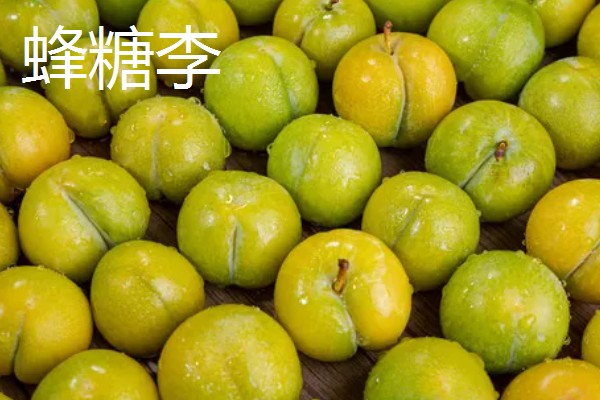 李子是凉性还是热性水果,李子是温性水果