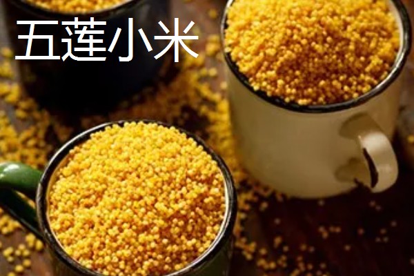 山东五莲县的特产,五莲苹果远销俄罗斯