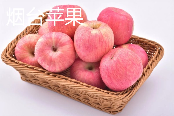 山东五莲县的特产,五莲苹果远销俄罗斯