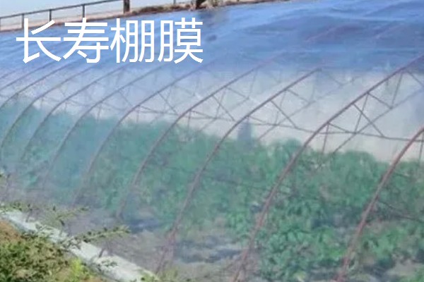 各种功能棚膜的特点,不同品种的特点不同