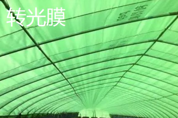 各种功能棚膜的特点,不同品种的特点不同