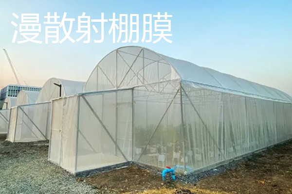 各种功能棚膜的特点,不同品种的特点不同