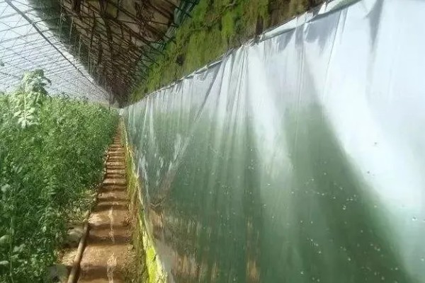 各种功能棚膜的特点,不同品种的特点不同