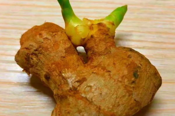 大姜发芽了还能吃吗，大姜发芽后并无毒素