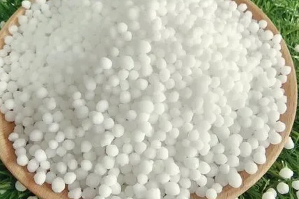 钾肥有什么作用，可以提高植物的光合效率