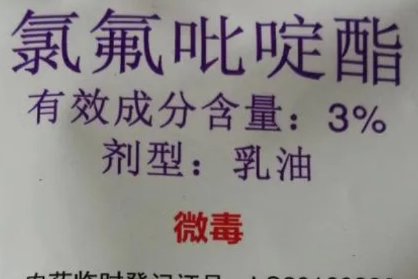 氯氟吡啶酯对水稻是否安全，安全性比较高可以防治多种杂草