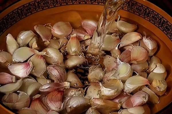 大蒜盆栽的种植方法,种植之后要放在有光照的地方