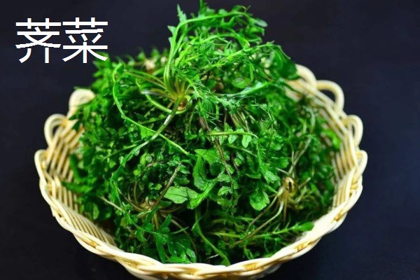 春天有哪些蔬菜,常见的有荠菜、菠菜等