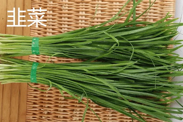 春天有哪些蔬菜,常见的有荠菜、菠菜等