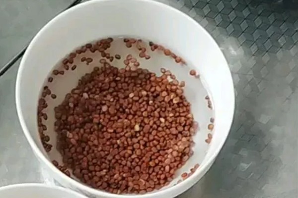 春天有哪些蔬菜,常见的有荠菜、菠菜等