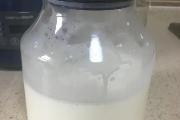 过期牛奶如何处理才能浇花，先将其进行发酵