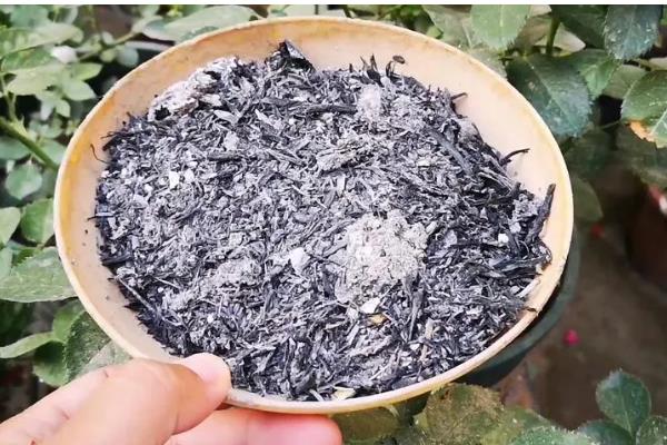 草木灰的主要成分，是碳酸钾