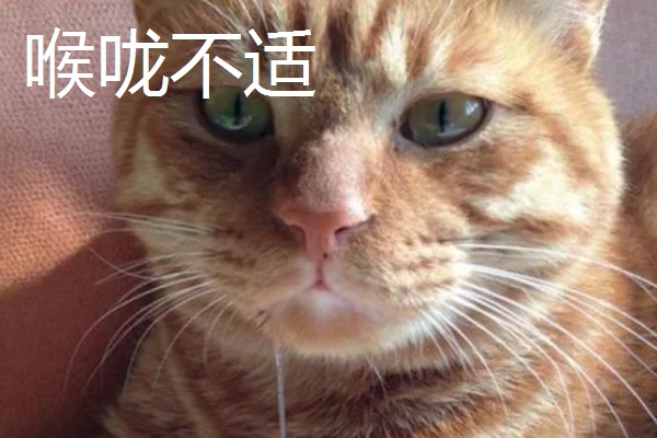 猫咪一直咽口水的原因，可能是得了猫毛球症