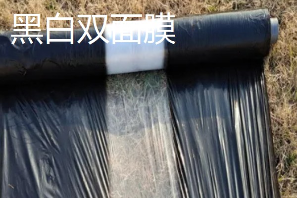 如何挑选有色农膜，黑色地膜可抑制杂草生长