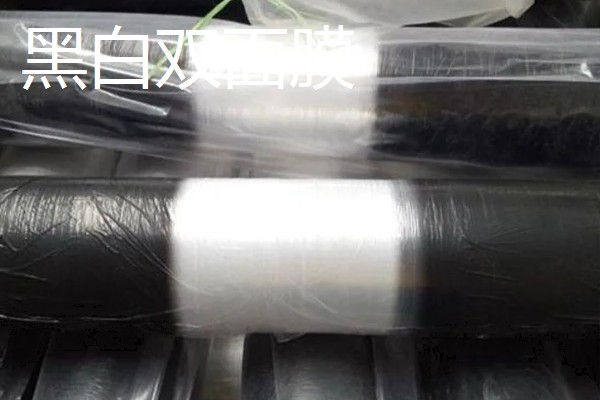 如何挑选有色农膜，黑色地膜可抑制杂草生长