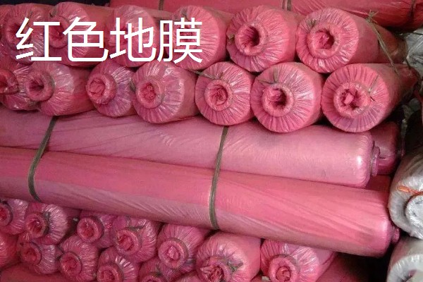 如何挑选有色农膜，黑色地膜可抑制杂草生长