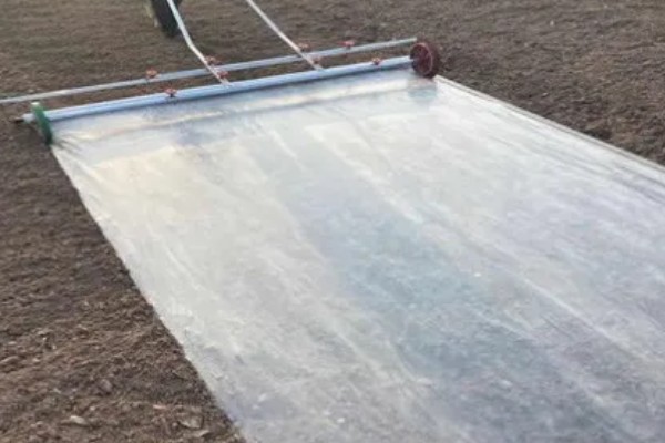 如何挑选有色农膜，黑色地膜可抑制杂草生长