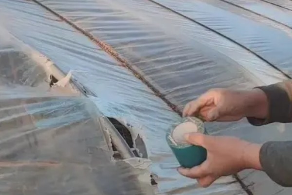 如何挑选有色农膜，黑色地膜可抑制杂草生长