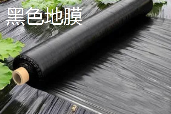 如何挑选有色农膜，黑色地膜可抑制杂草生长