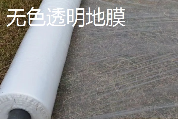 如何挑选有色农膜，黑色地膜可抑制杂草生长