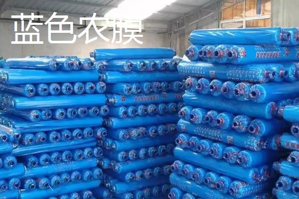 如何挑选有色农膜，黑色地膜可抑制杂草生长